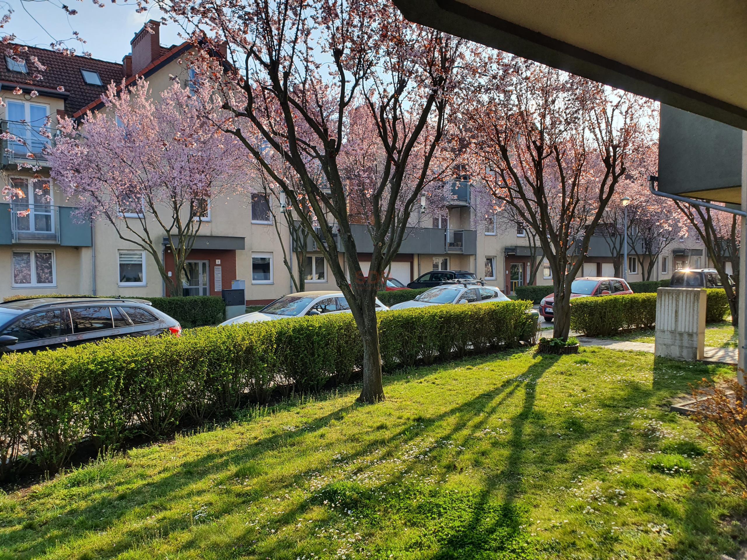 3 pokoje/ 3 balkony/ 2 poziomy/ Bielany Wrocławskie-1