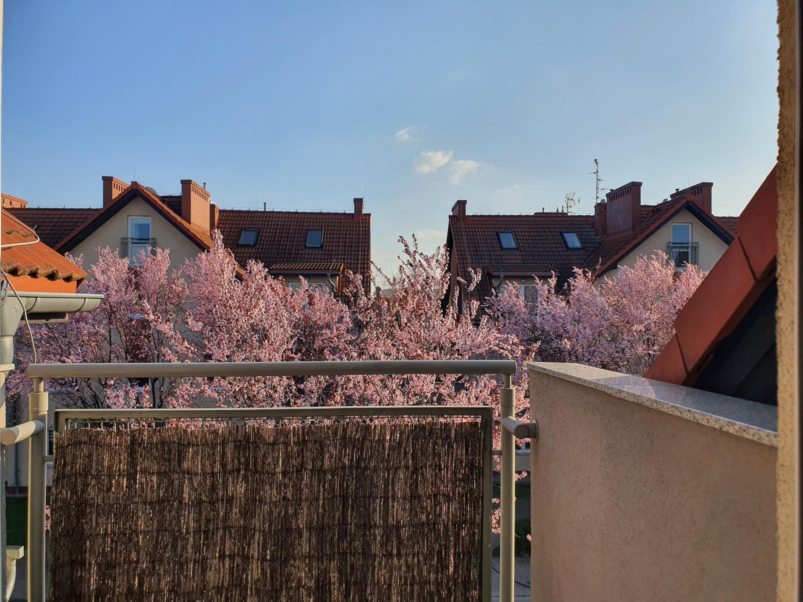 3 pokoje/ 3 balkony/ 2 poziomy/ Bielany Wrocławskie-2