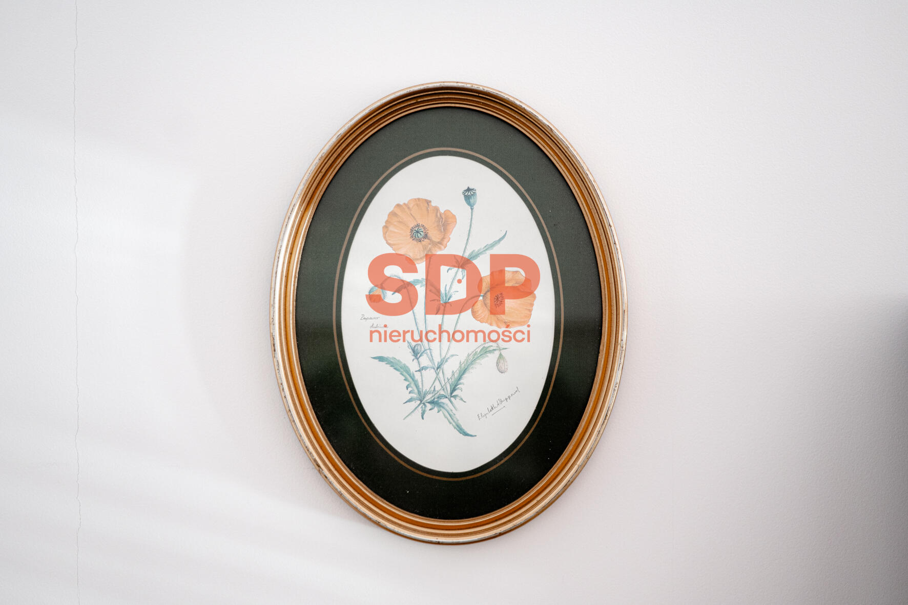 Piękna cisza w ścisłym centrum! To możliwe!-6