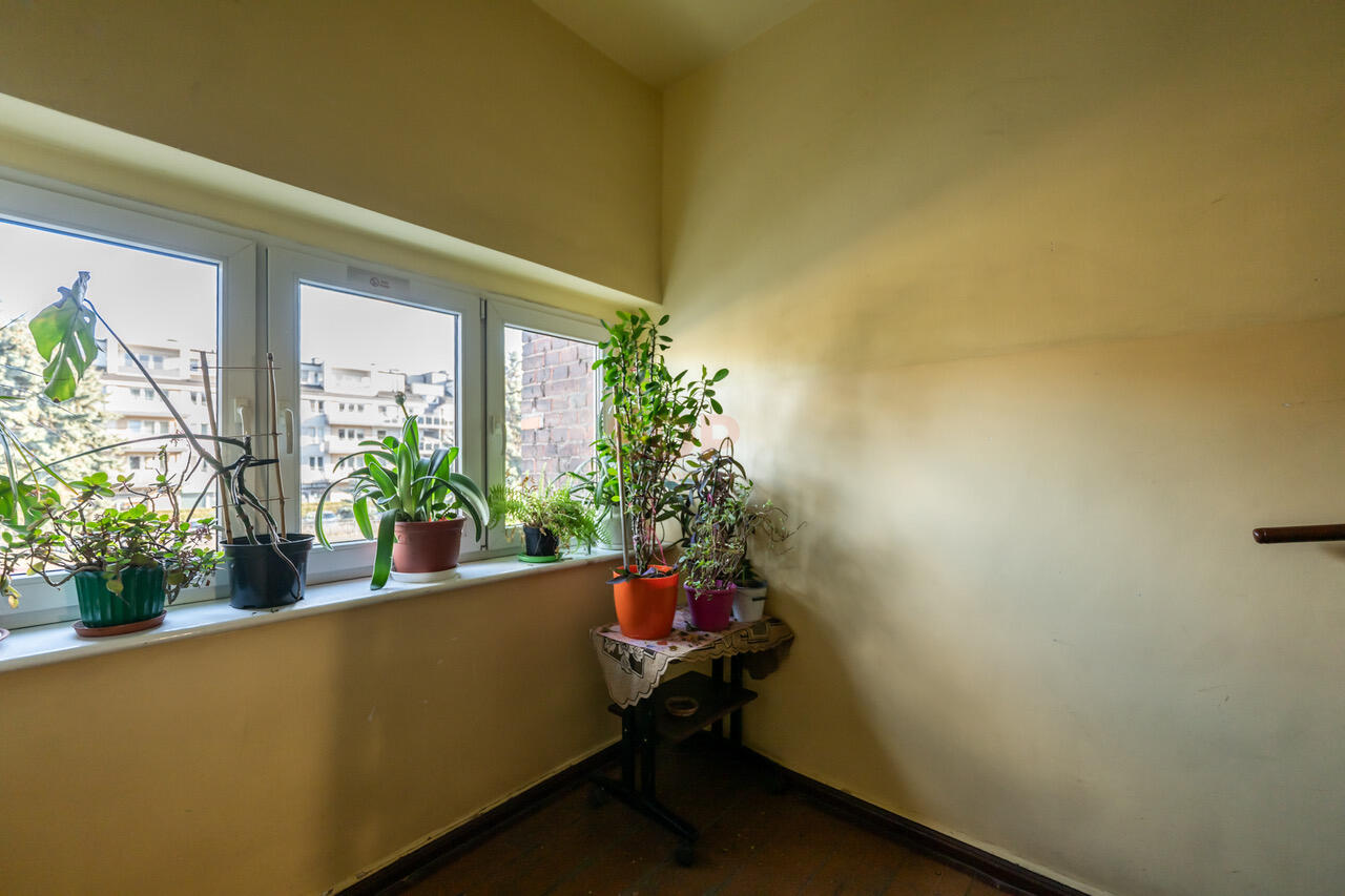 Mieszkanie do wejścia|Niski czynsz|2 pokoje|60 m2|-12