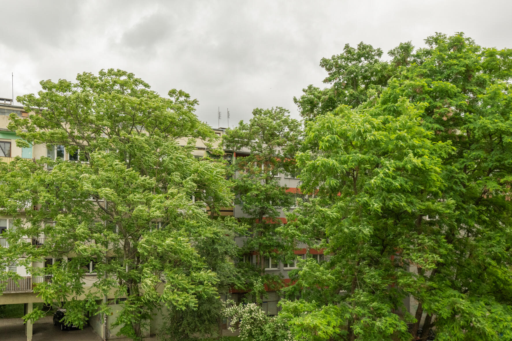 Trzy pokoje w świetnej cenie, top lokalizacja-11